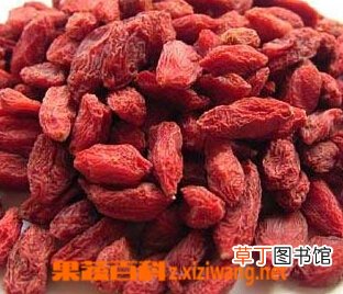 楮实子的功效与作用