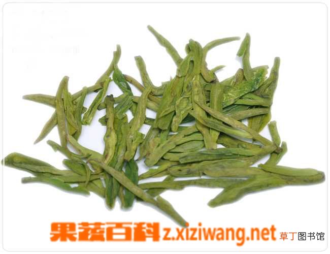 白茶的功效与禁忌