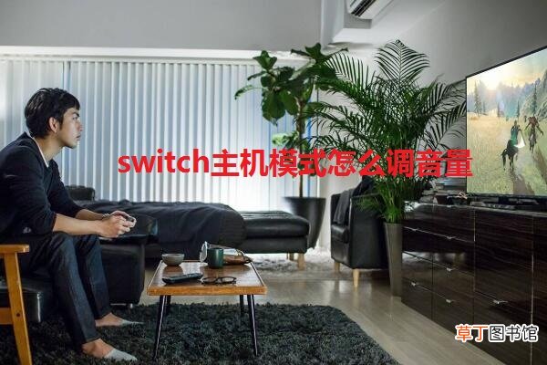 switch主机模式怎么调音量