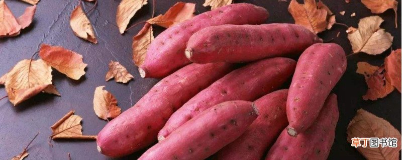 电烤箱无锡纸烤红薯怎么烤