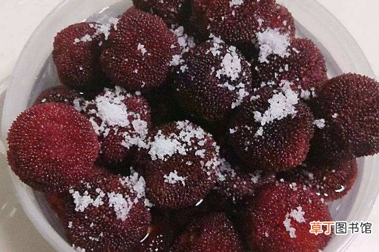 杨梅怎么腌制才好吃