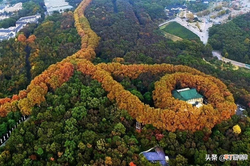 南京主要景点排名 南京景区有哪些