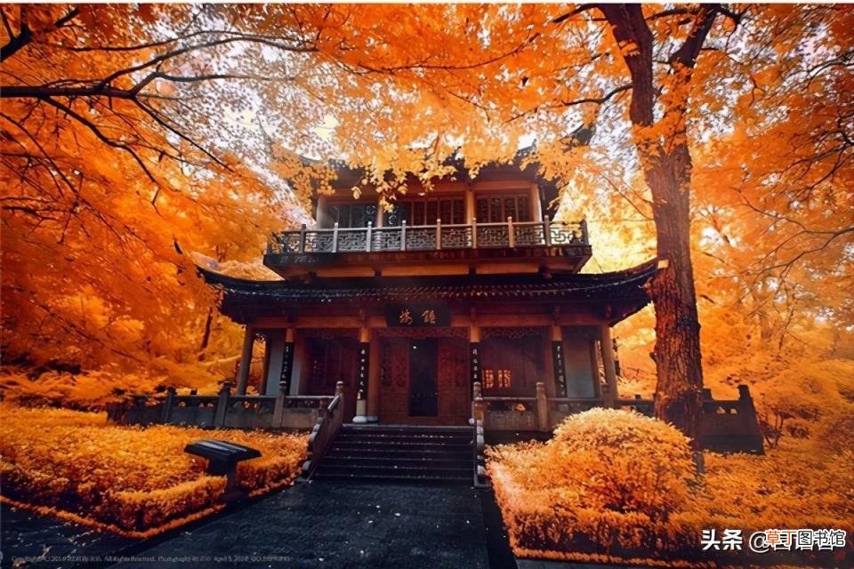 南京主要景点排名 南京景区有哪些