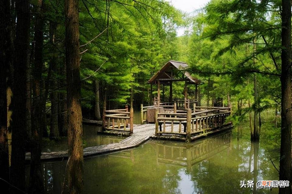 南京主要景点排名 南京景区有哪些