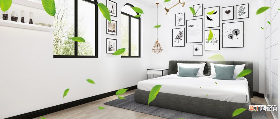 什么东西吸甲醛