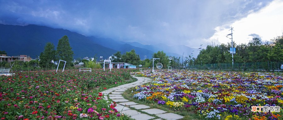 花路是什么意思