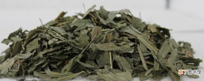 清热去火药哪种效果最好-生活百科知识
