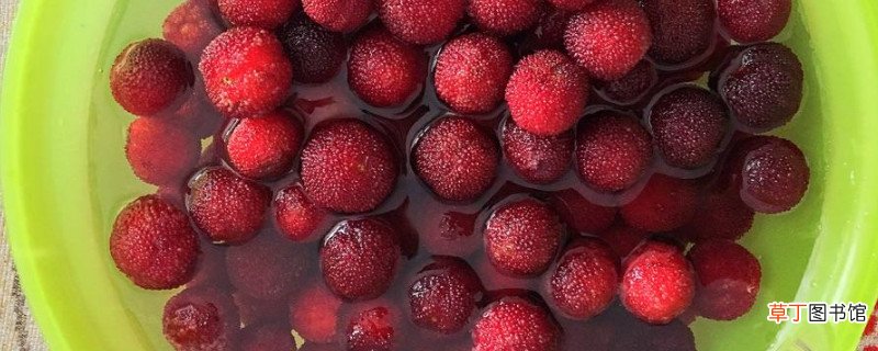 杨梅酿酒不加白酒方法