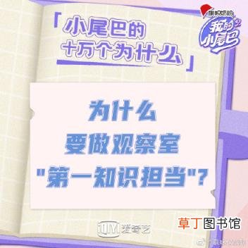 我的小尾巴2在线观看完整版免费 我的小尾巴第二季在线观看