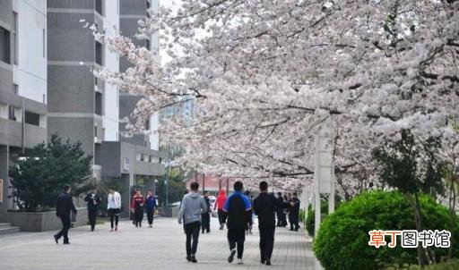 南京最好的几所大学 南京有哪些本科大学