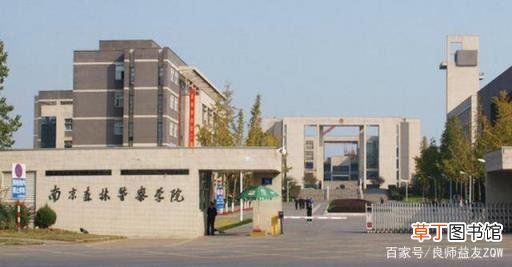 南京最好的几所大学 南京有哪些本科大学