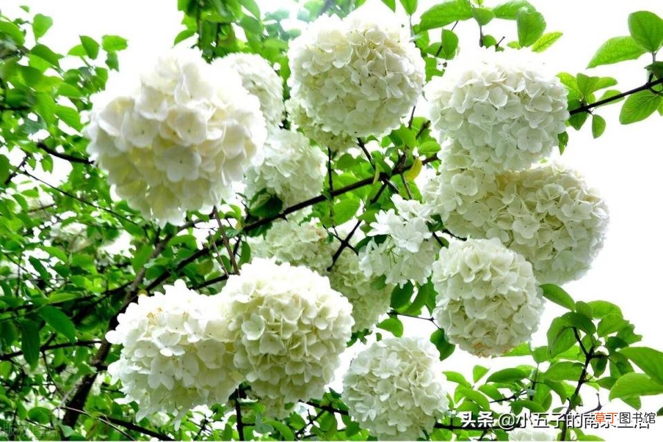 南京周边一日游 南京有哪些景点