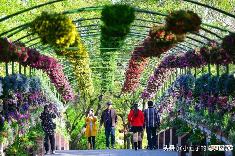 南京周边一日游 南京有哪些景点