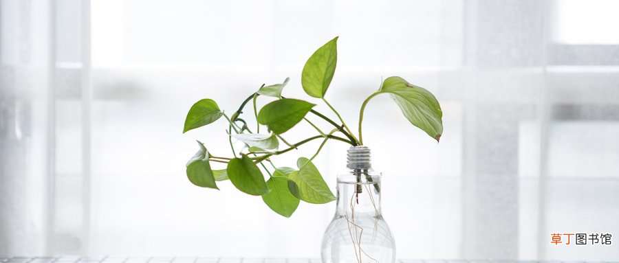 新房急入住怎么除甲醛