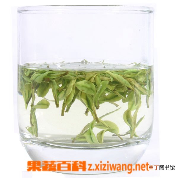 白茶的保存方法