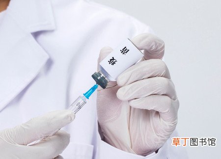 打狂犬疫苗可以报销医保吗