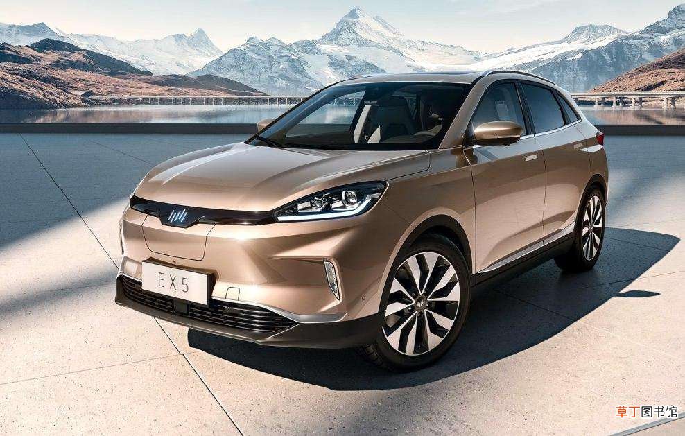 威马汽车是哪个公司