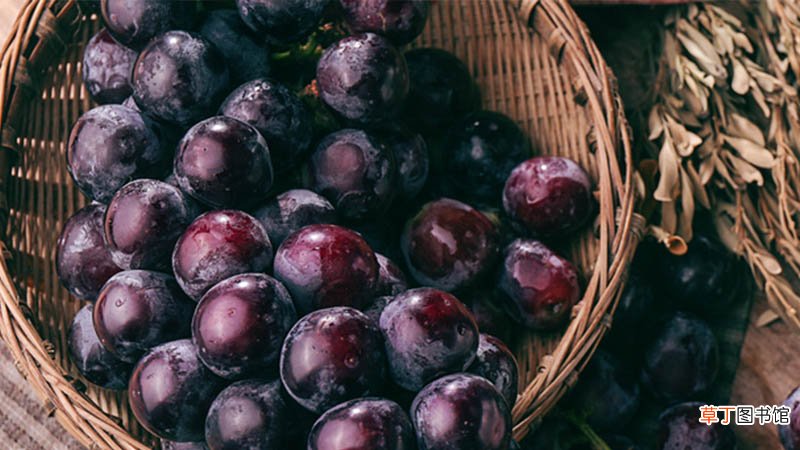 葡萄可以放冰箱吗