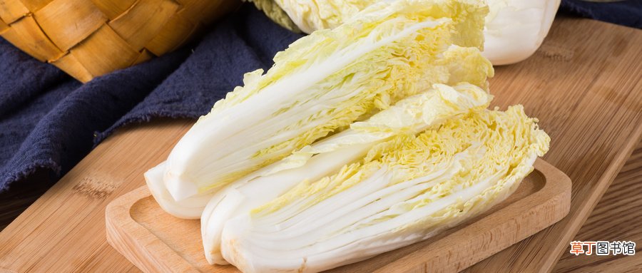 大白菜什么时候播种