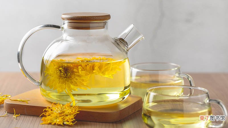 菊花茶可以天天喝吗