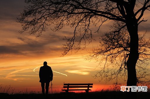 殇雪是什么意思