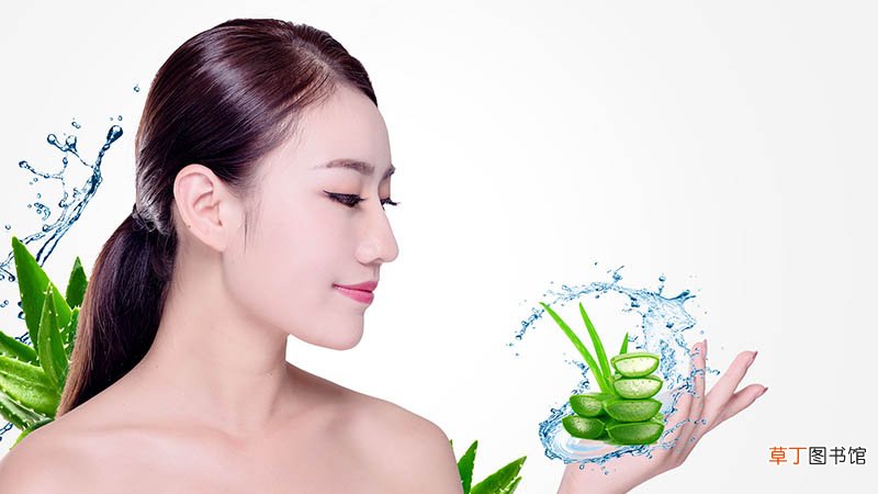 芦荟胶可以天天用吗