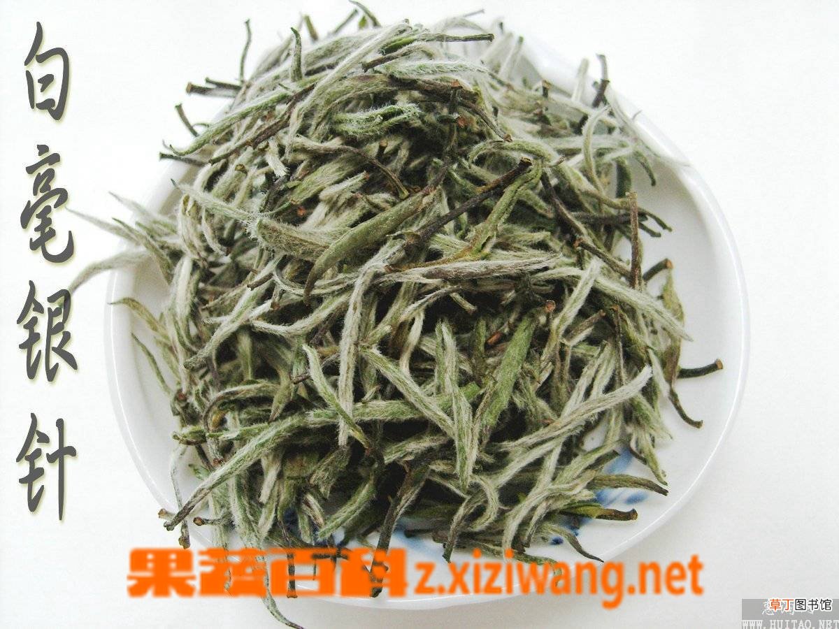 白茶的保健功效