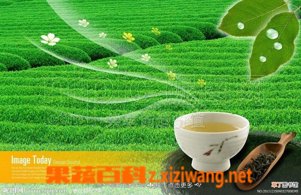 长期喝绿茶有没有坏处