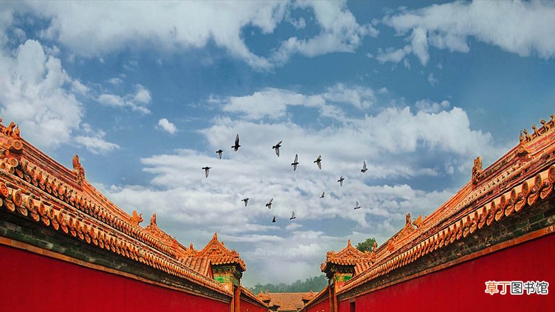 故宫门票可以现场买吗