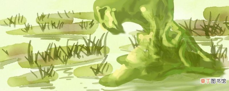 软泥怪是什么梗-生活百科知识