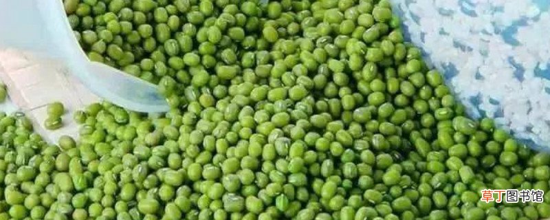 煮绿豆汤的正确方法