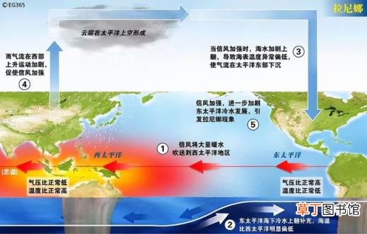 今冬拉尼娜发生成定局,会被冻哭吗?拉尼娜为什么会出现冷冬