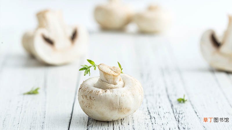 蘑菇是发物吗