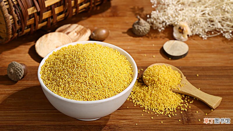 小米是粗粮吗