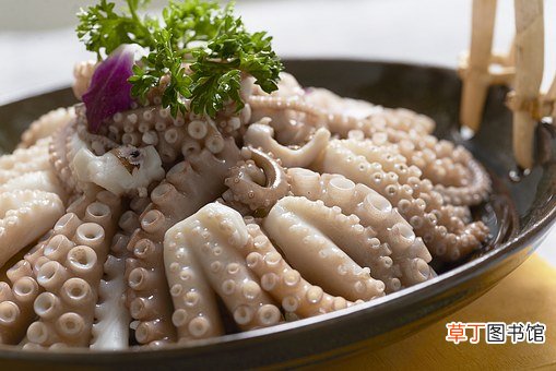 海兔子是小鱿鱼吗