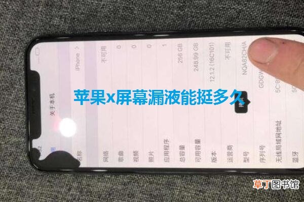 苹果x屏幕漏液能挺多久