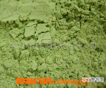 薏仁粉和绿茶粉面膜功效