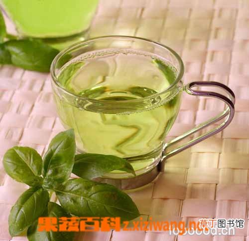 云雾绿茶的功效