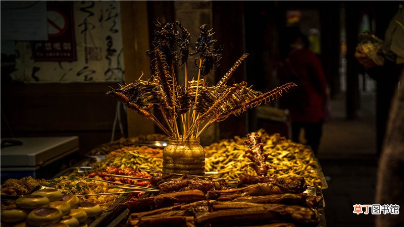 家里放什么可以驱蝎子