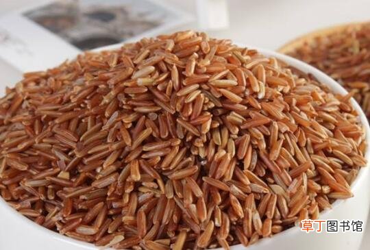 红糙米的功效与作用 红糙米的食用方法