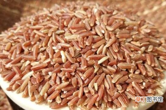 红糙米的功效与作用 红糙米的食用方法