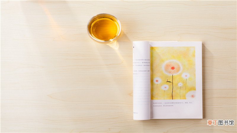 could和can的区别