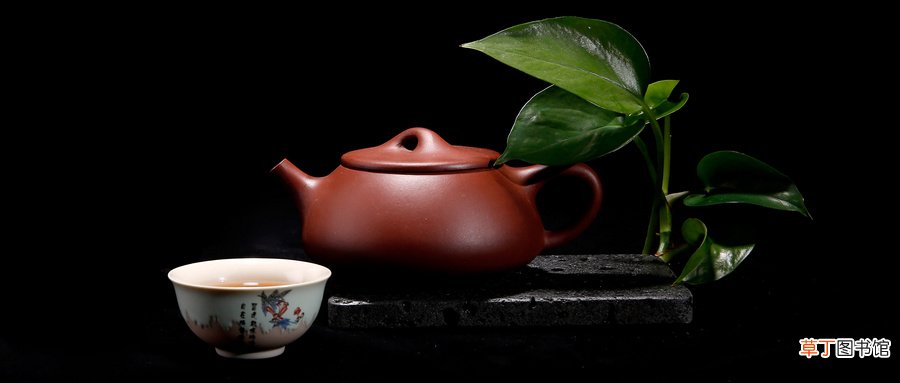 紫砂壶适合泡什么茶