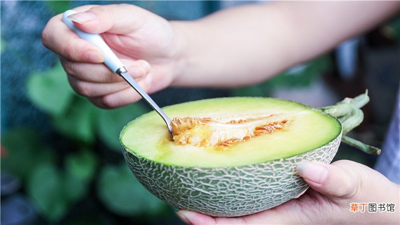 伽师瓜和哈密瓜的区别