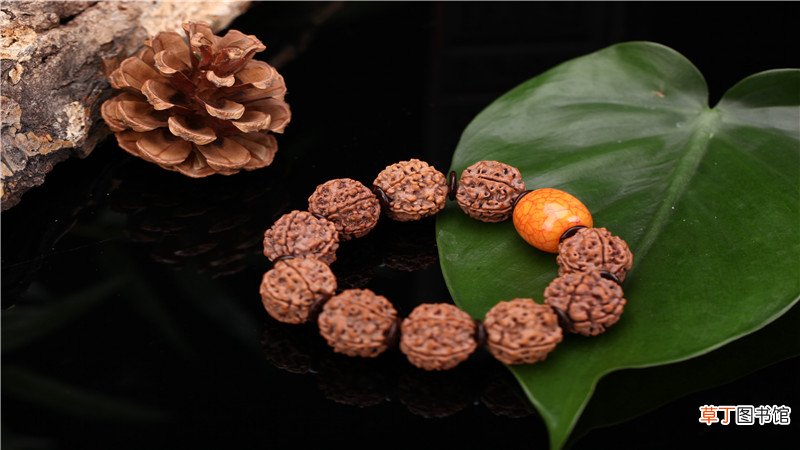 橄榄核铁核和油核的区别