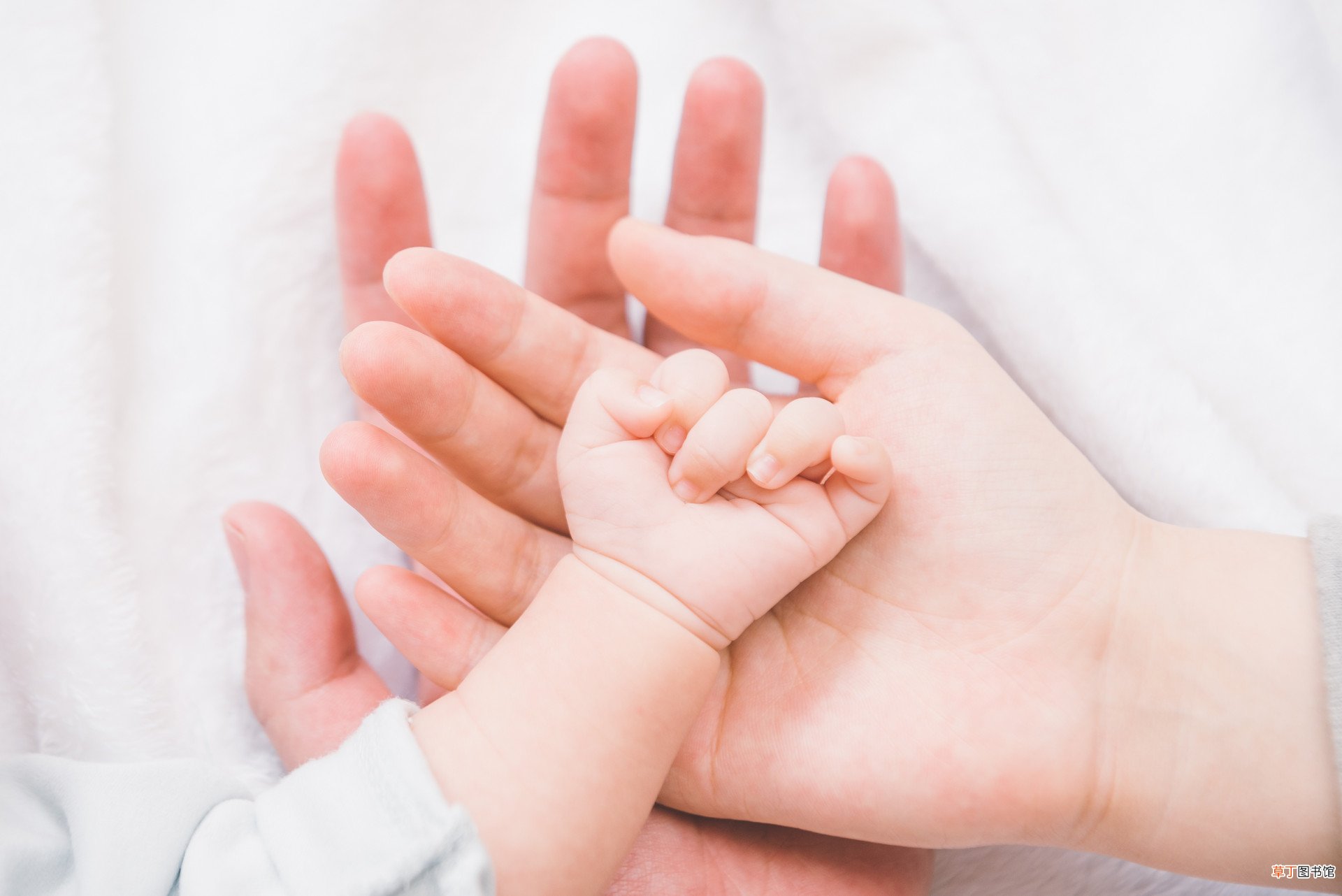 抵抗力和免疫力的区别