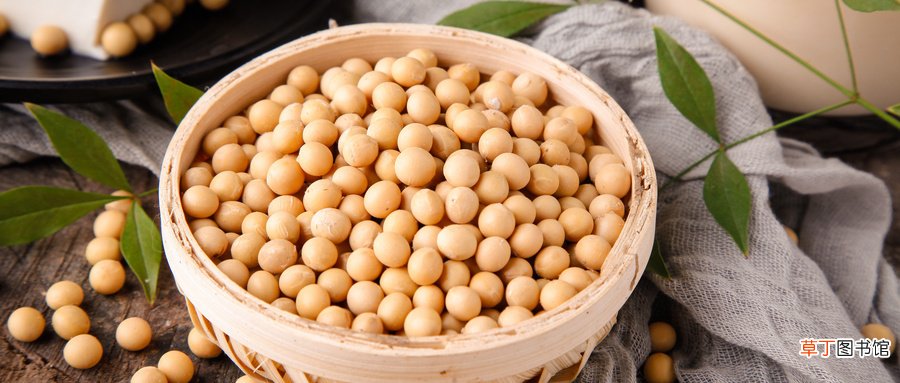 大豆和黄豆的区别