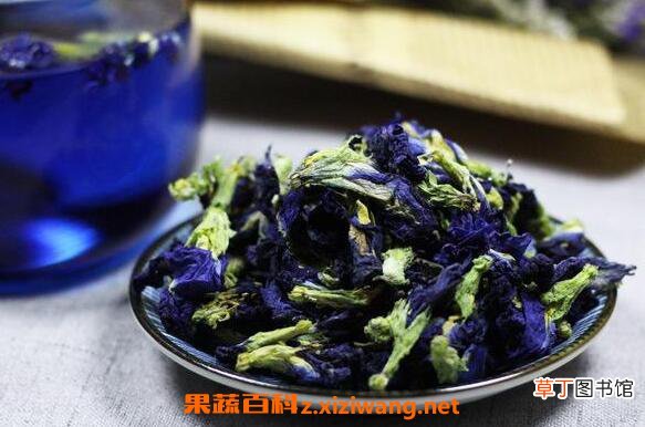 蝶豆花的功效与作用 蝶豆花不适合什么人吃