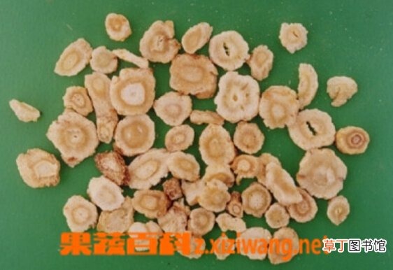 北沙参有什么功效与作用