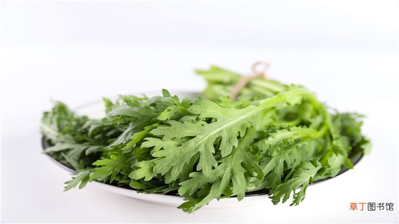 皇帝菜和茼蒿的区别